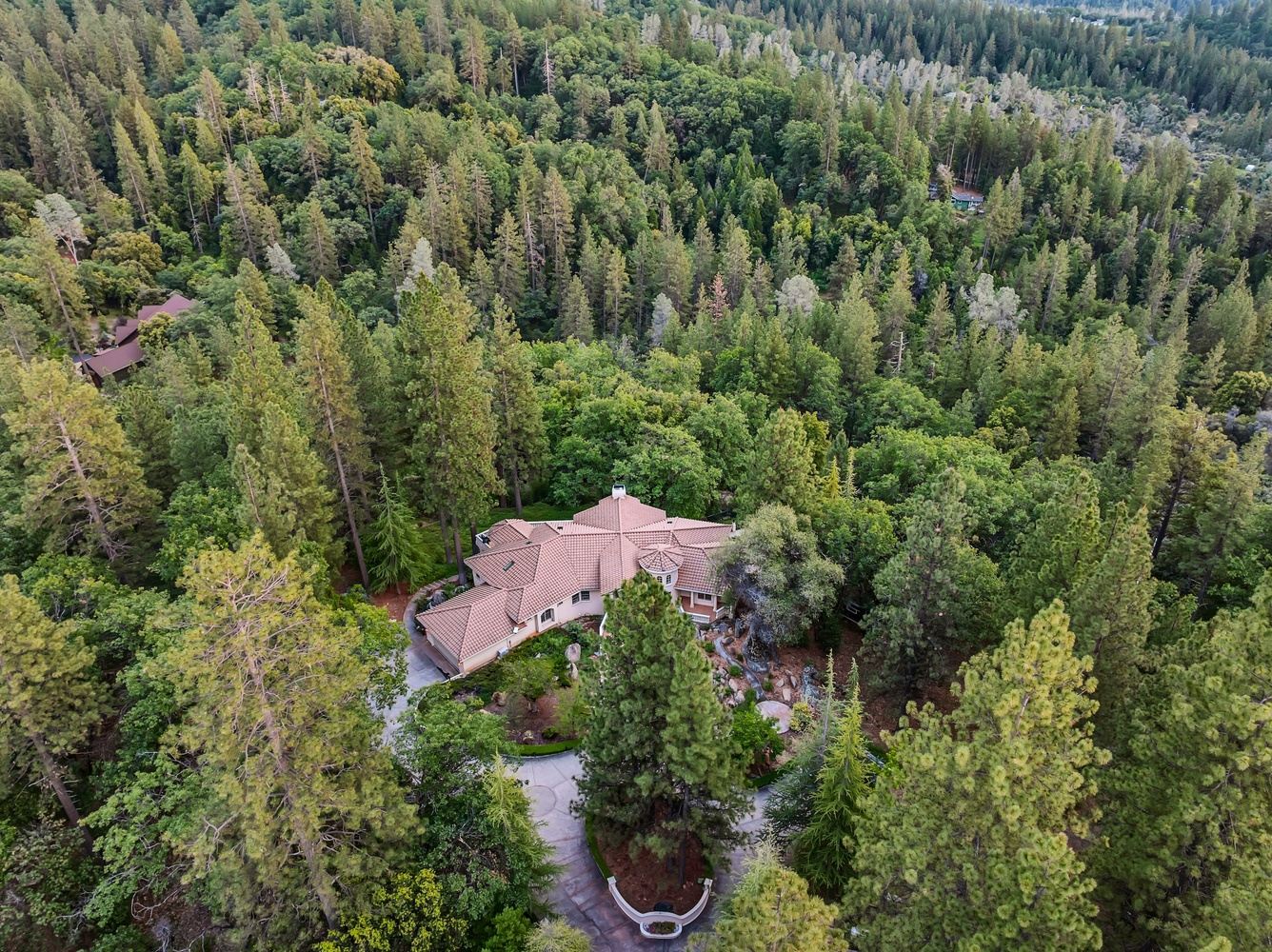Earth Day Retreat Rooted in Nature