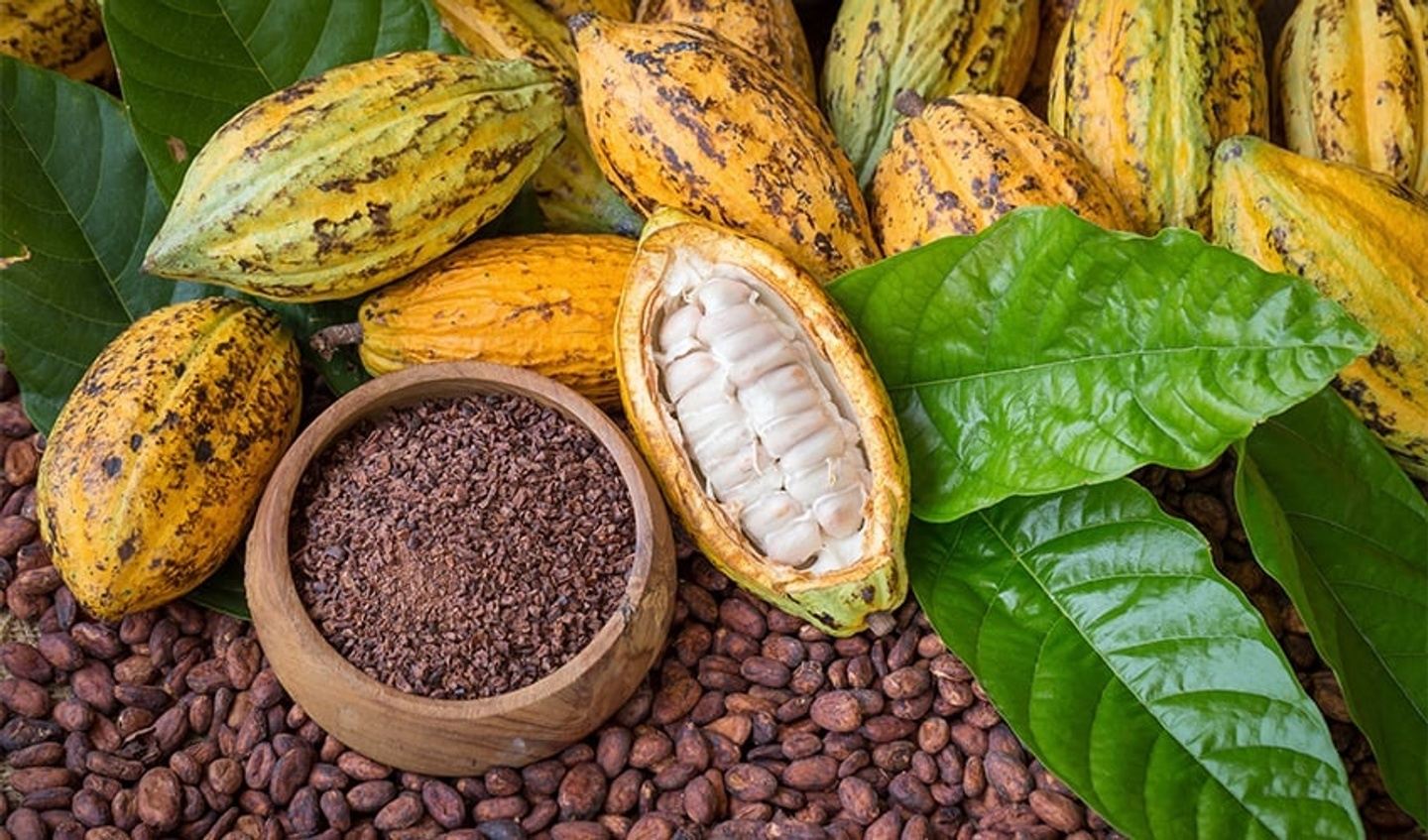 ChocoVoyage Tour: A Chocolate Lover's Dream in Ghana