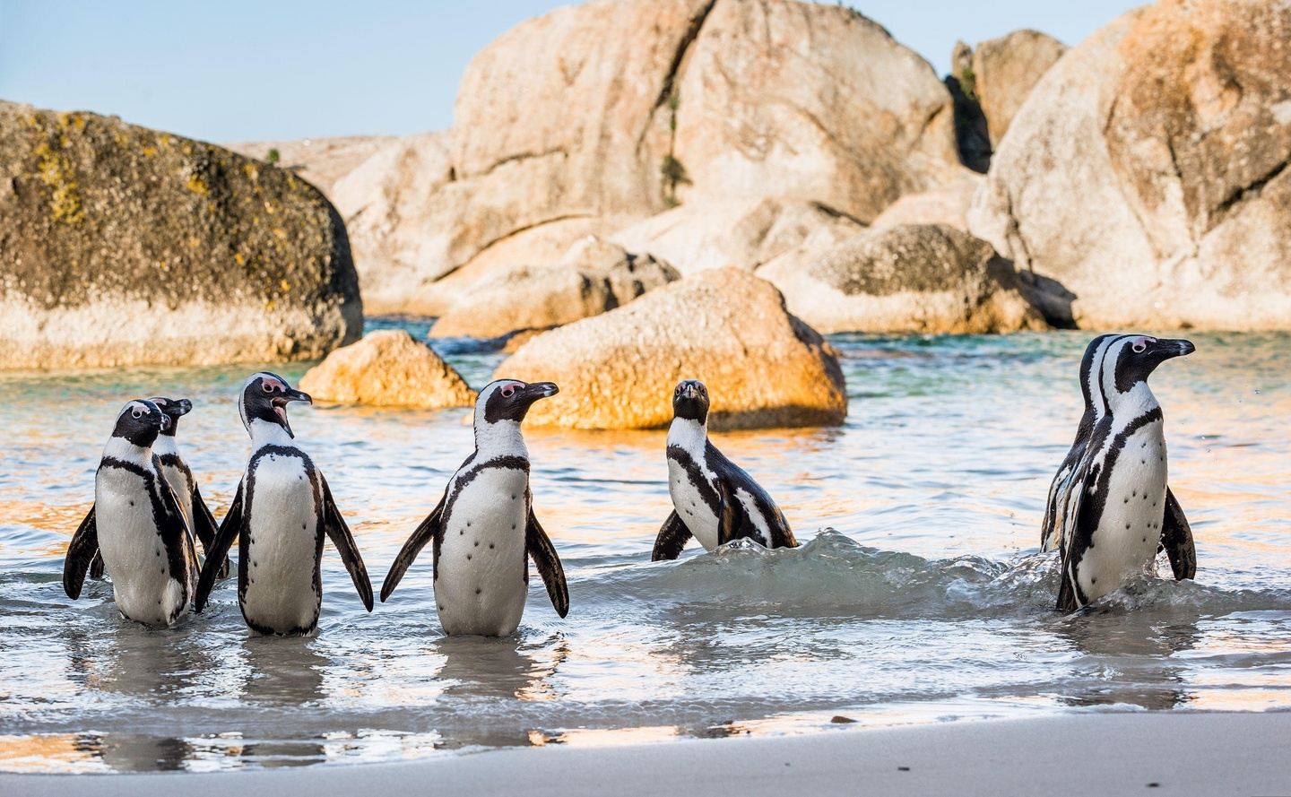 Enchanting Western Cape Escapade