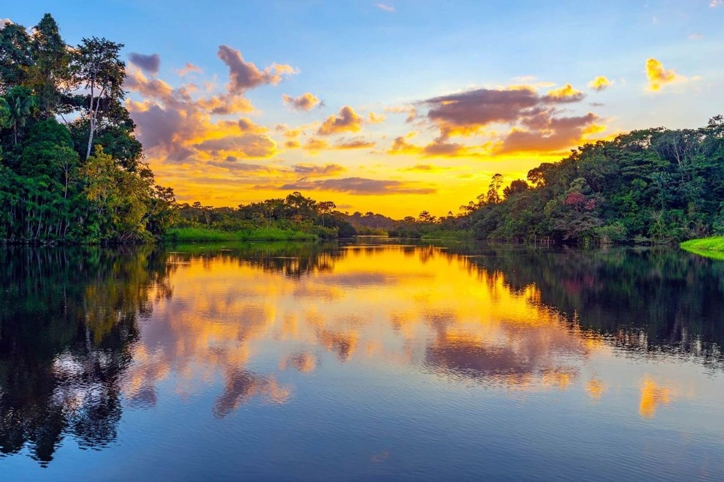 AMAZON EXPEDITION (High Season)