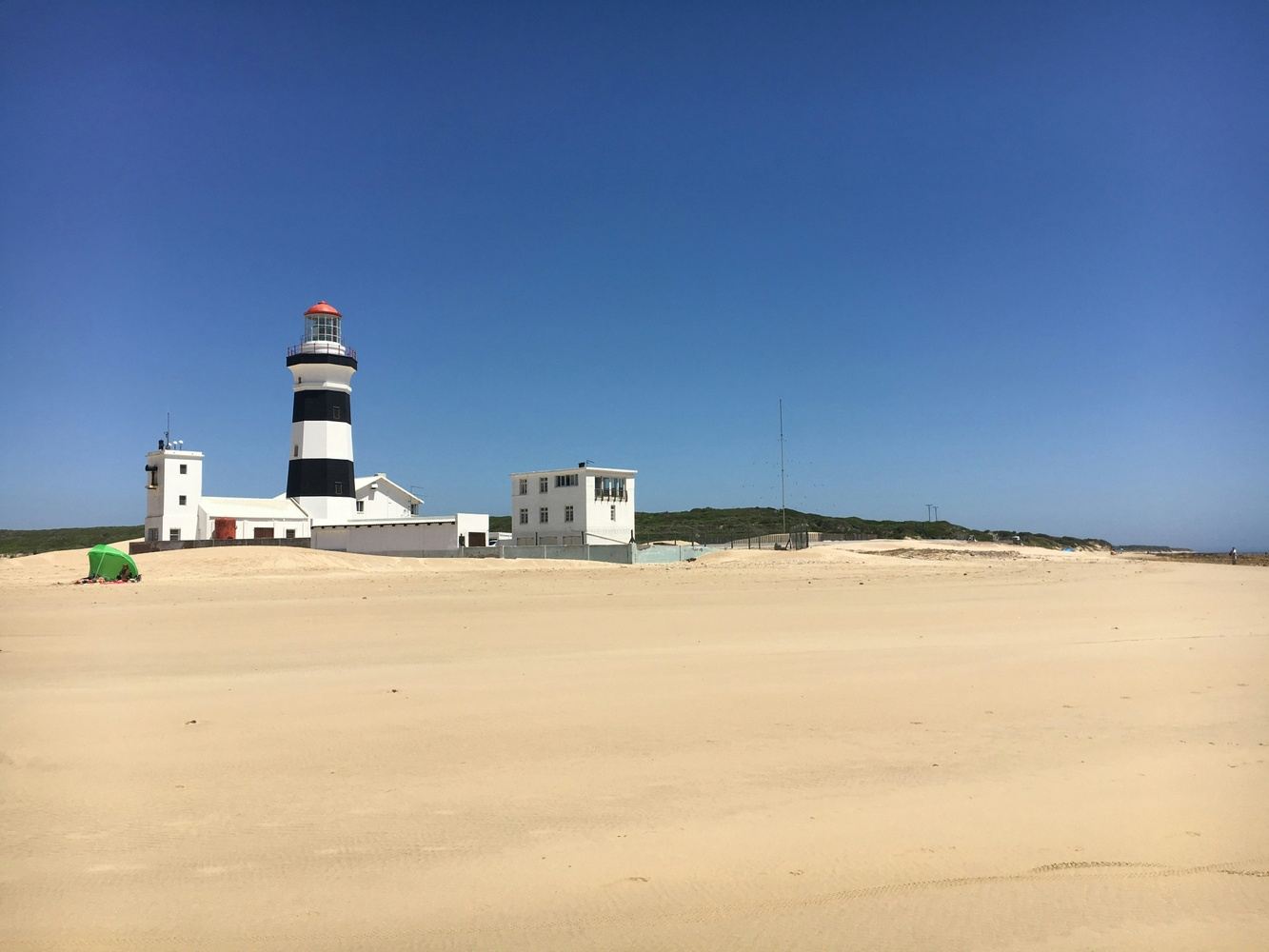 Port Elizabeth Highlights: City Sights & Wildlife Safari