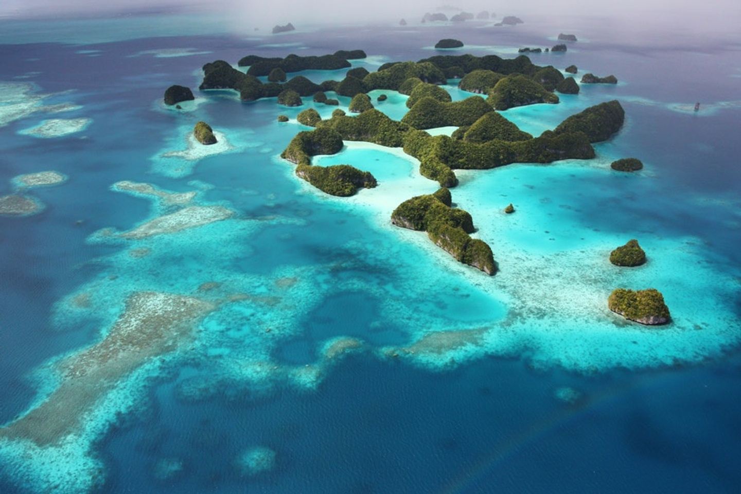 Incredible Palau with Dive Outdoors!