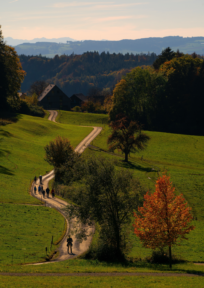 WALKING  THE ARDENNES