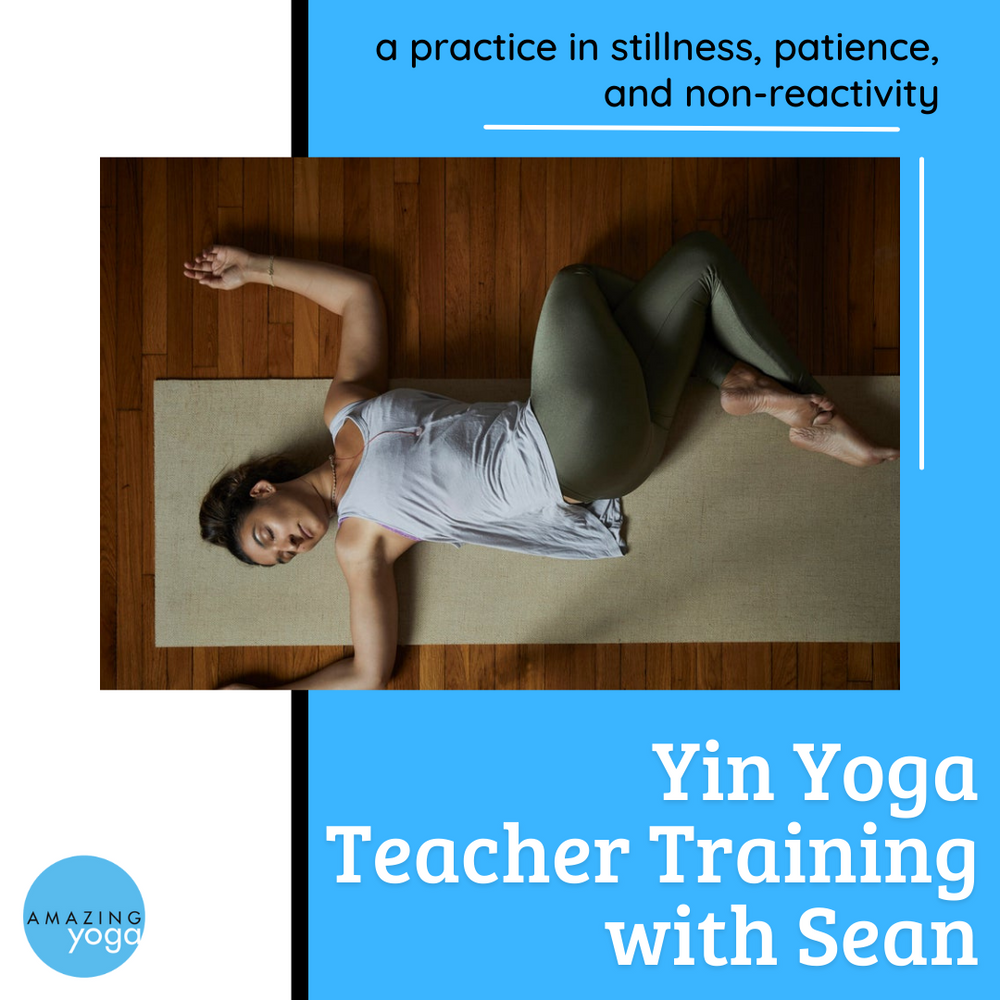 Yin Yoga Teacher Training - 2026