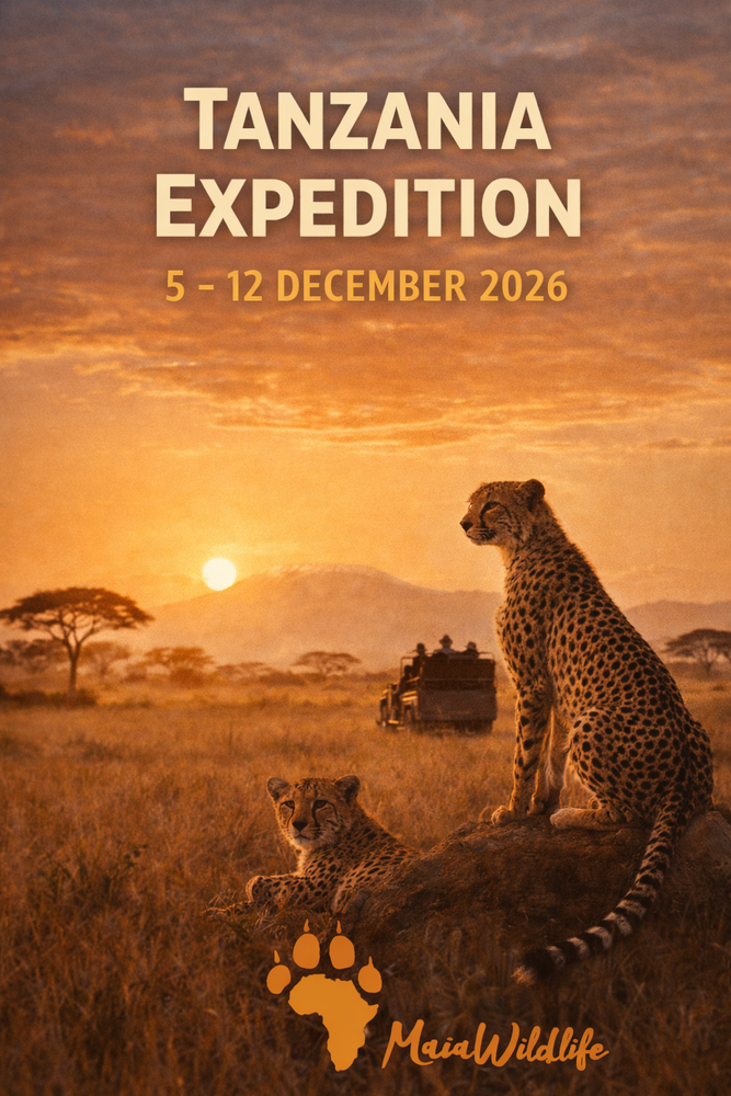 Tanzania Expedition - 8 days / 7 nights