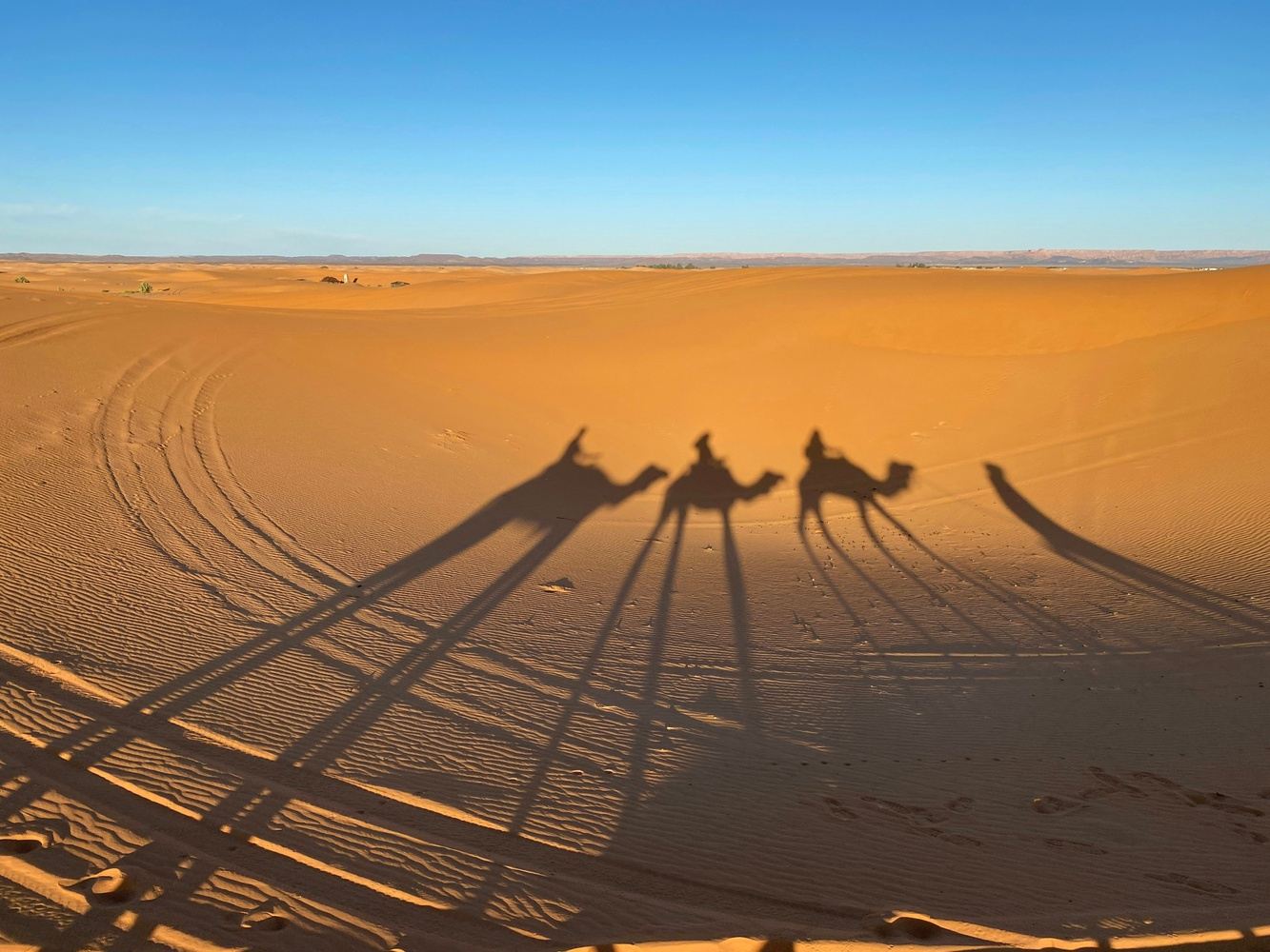 Morocco Sahara Adventure | Luxury Camp & Amazigh Cultural Immersion