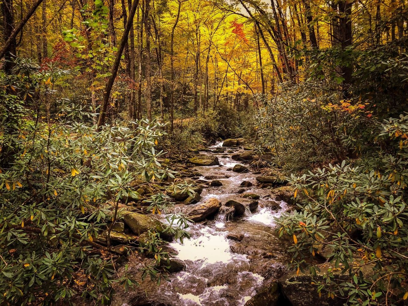 Soul Reset: A Women's Yoga + Hiking Retreat