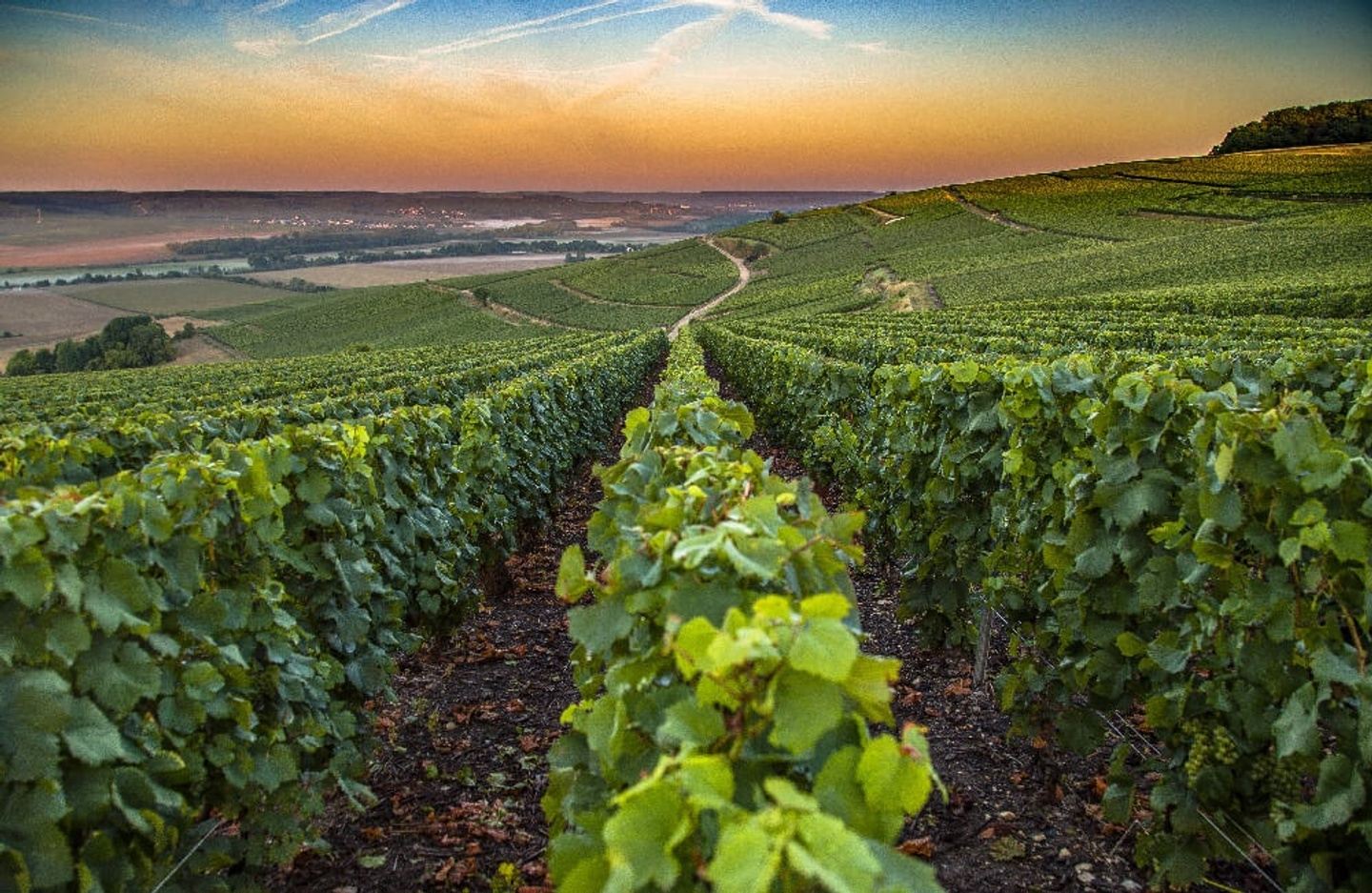 🍾 Bubbles of Europe I