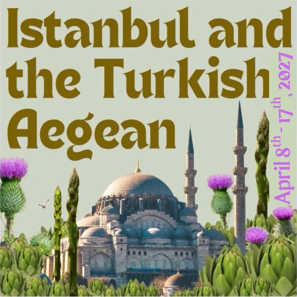 Istanbul + the Turkish Aegean=