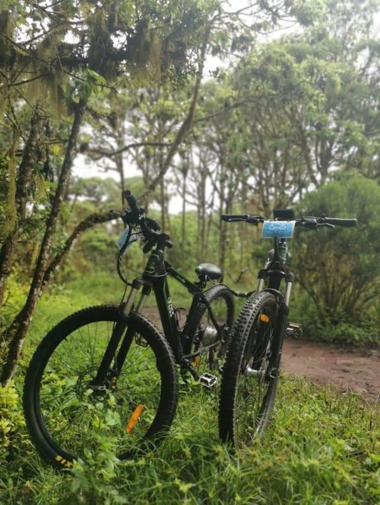 BIKEANDSMILE -  CONVENTIONAL BIKES Half Day