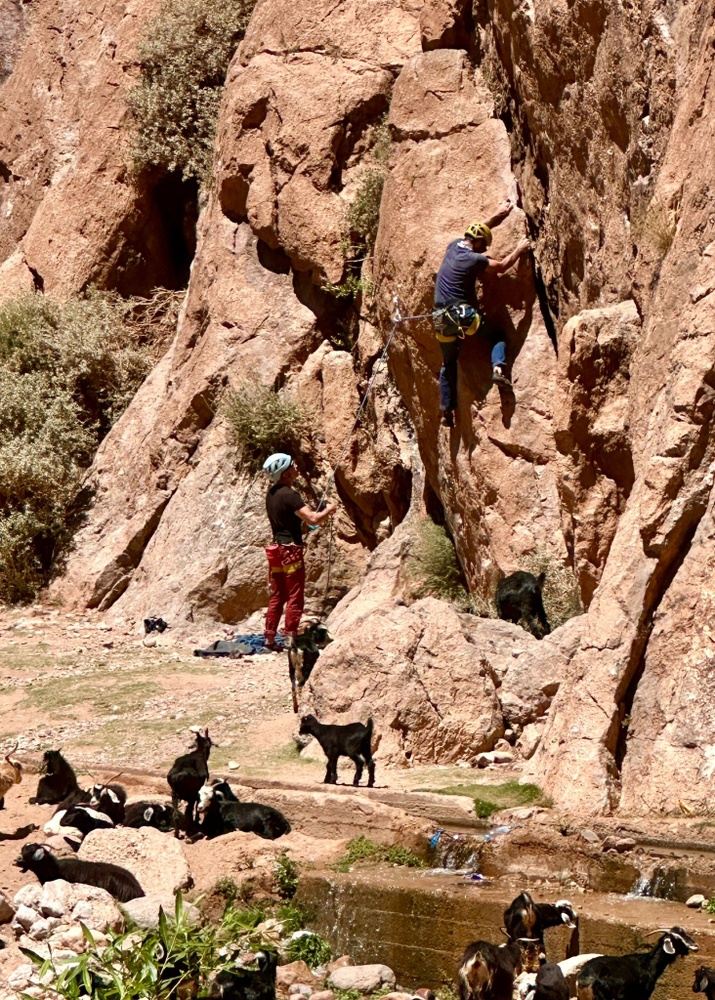 7 Day Return to Your Roots Yoga & Hiking Retreat in Imlil