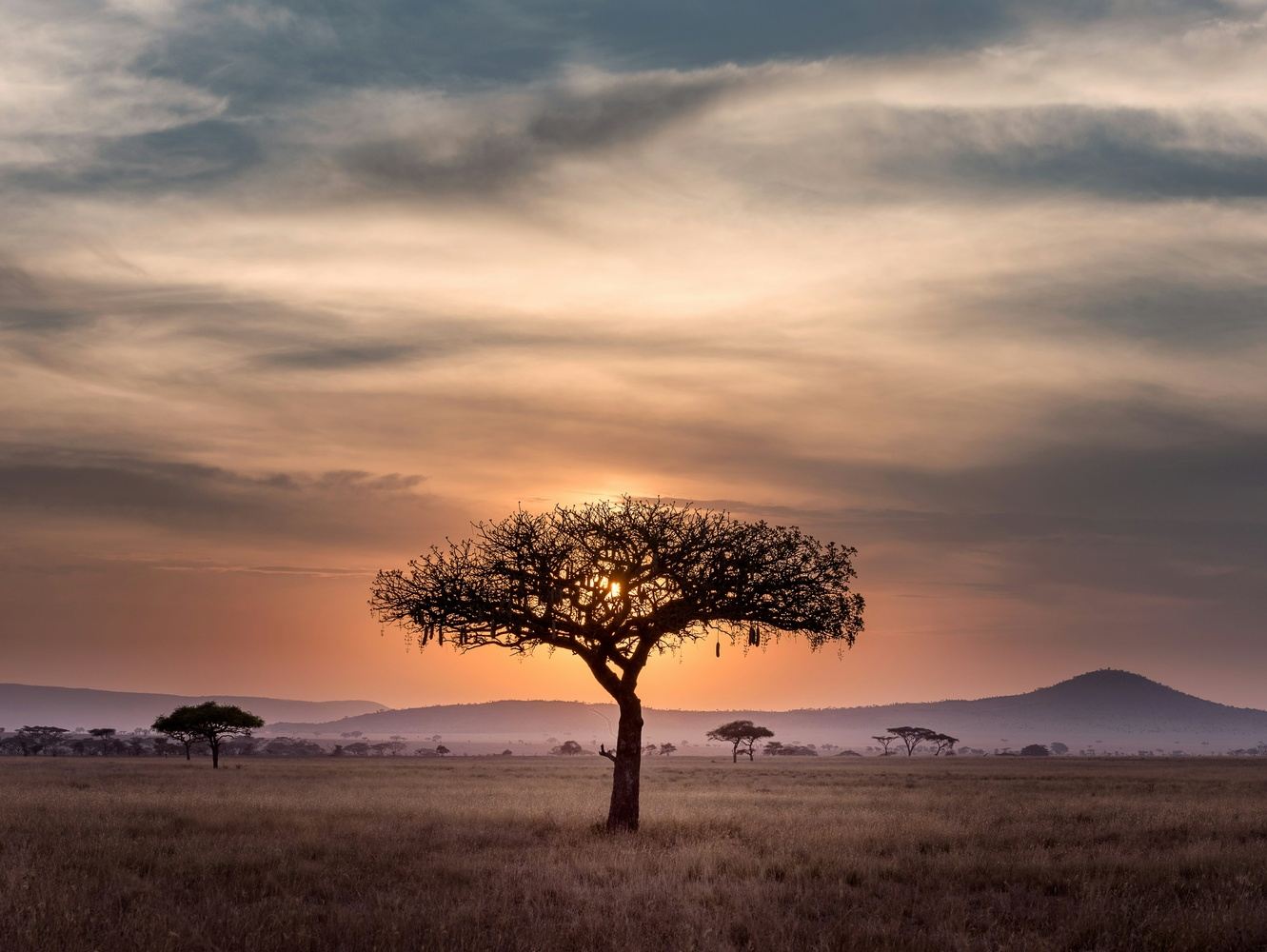 Happy Sherpa Travel Tanzania Migration Safari 2027