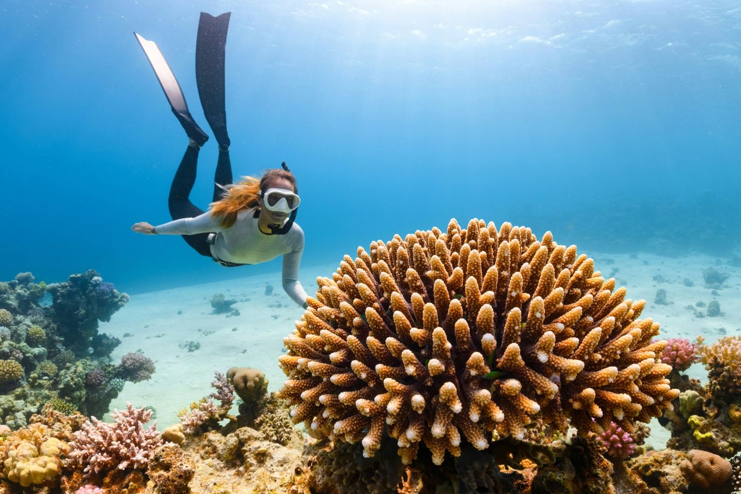 SCUBA DIVING THE GALAPAGOS ISLANDS