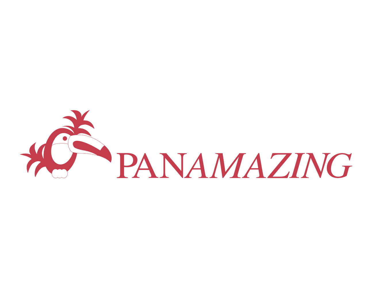 Prueba pagina web