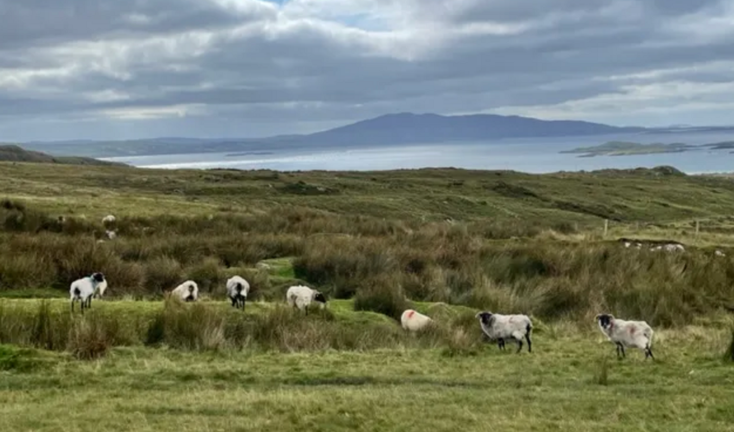 Knitters Exploration of Northern Ireland + Dublin
