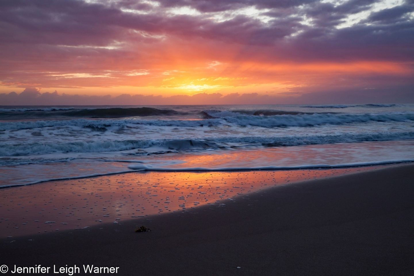 Private Central Florida Photo Tour