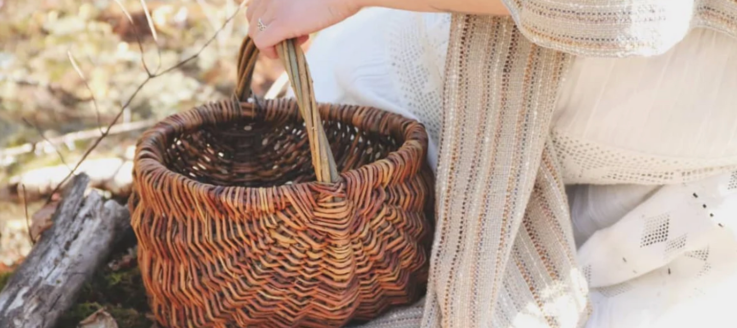 The Basket Maker's Forest Retreat