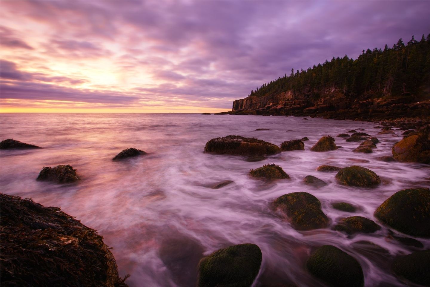 Autumn in Acadia & The Bold Coast