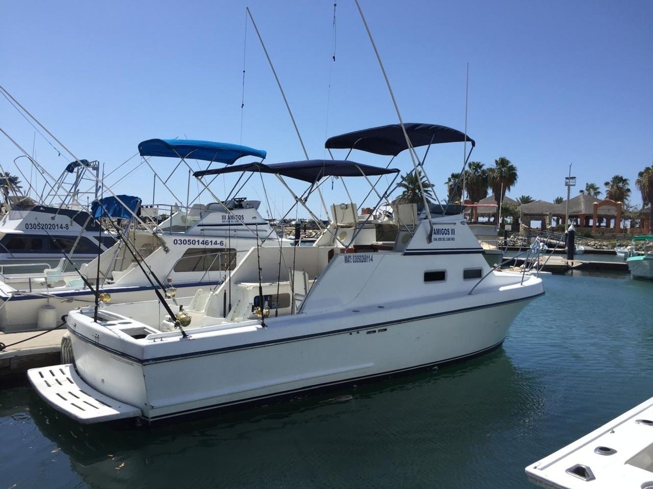 california – Boat 31ft