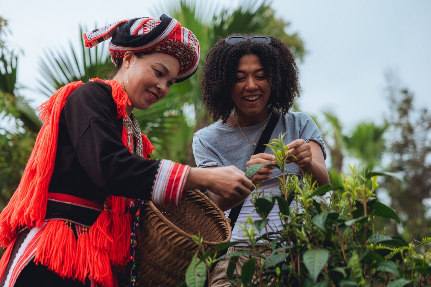 BGH Goes Global: Vietnam Adventure (12-21 November)