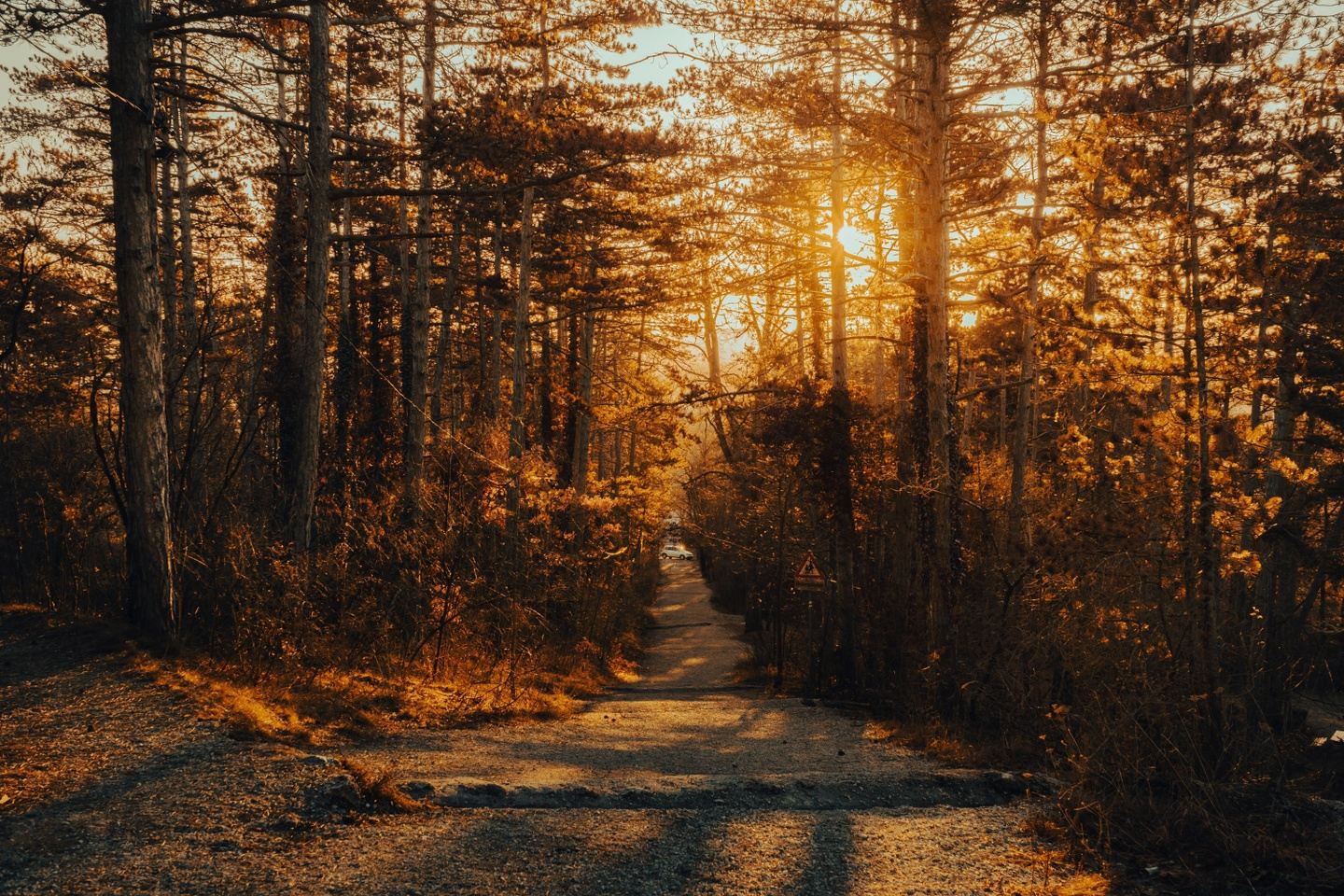 Mindfulness Meditation Hike
