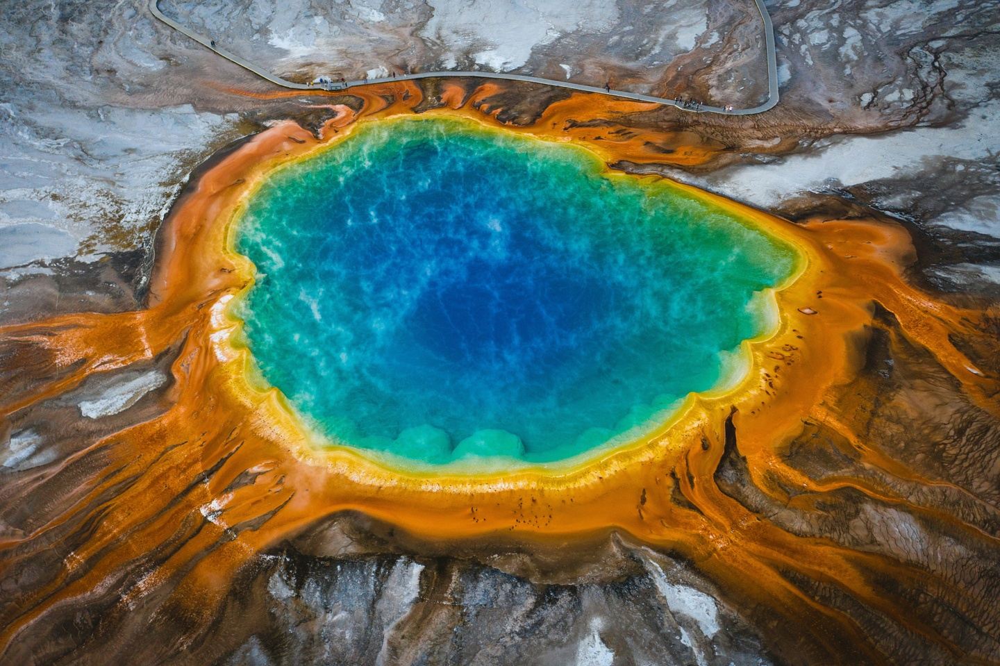 Yellowstone - American Safari 2027