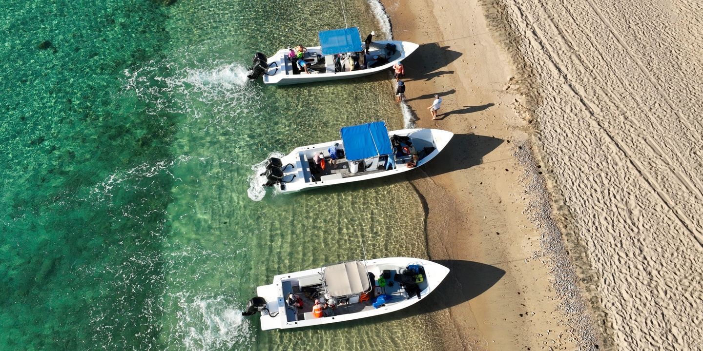 Offshore Summer Safari August 7-13, 2026