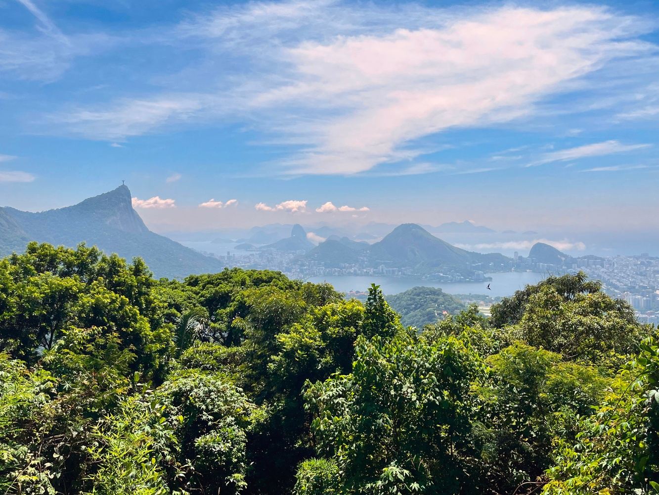Landscapes in Rio