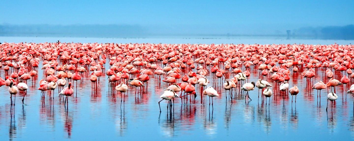 THE BEST OF KILI WITH ONE DAY GAME DRIVE IN ARUSHA