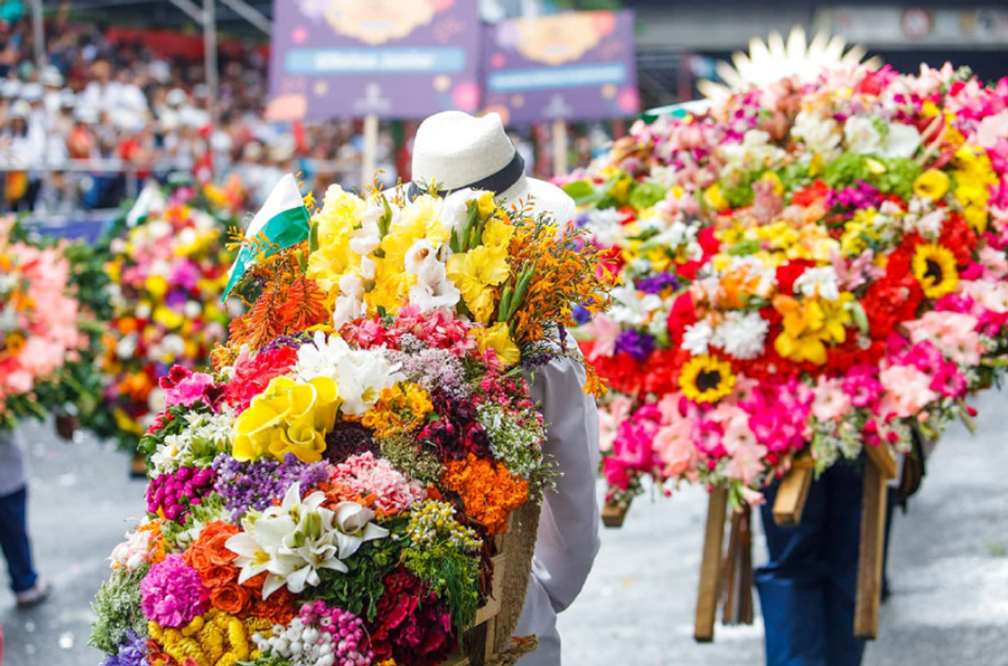 Medellín Summer Escape 2026