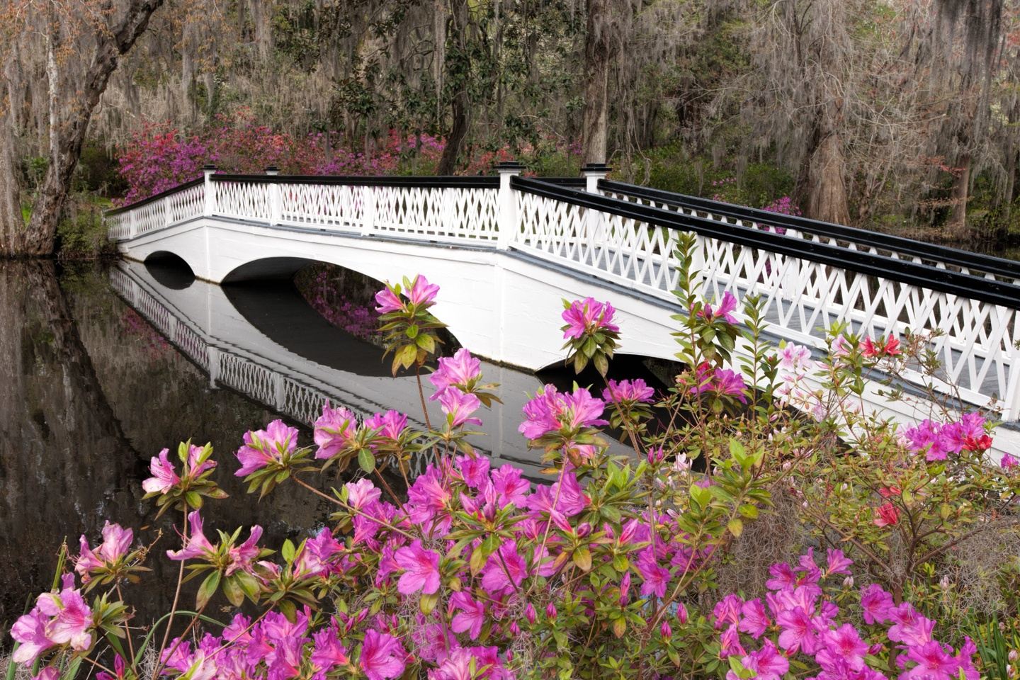 Charleston, SC