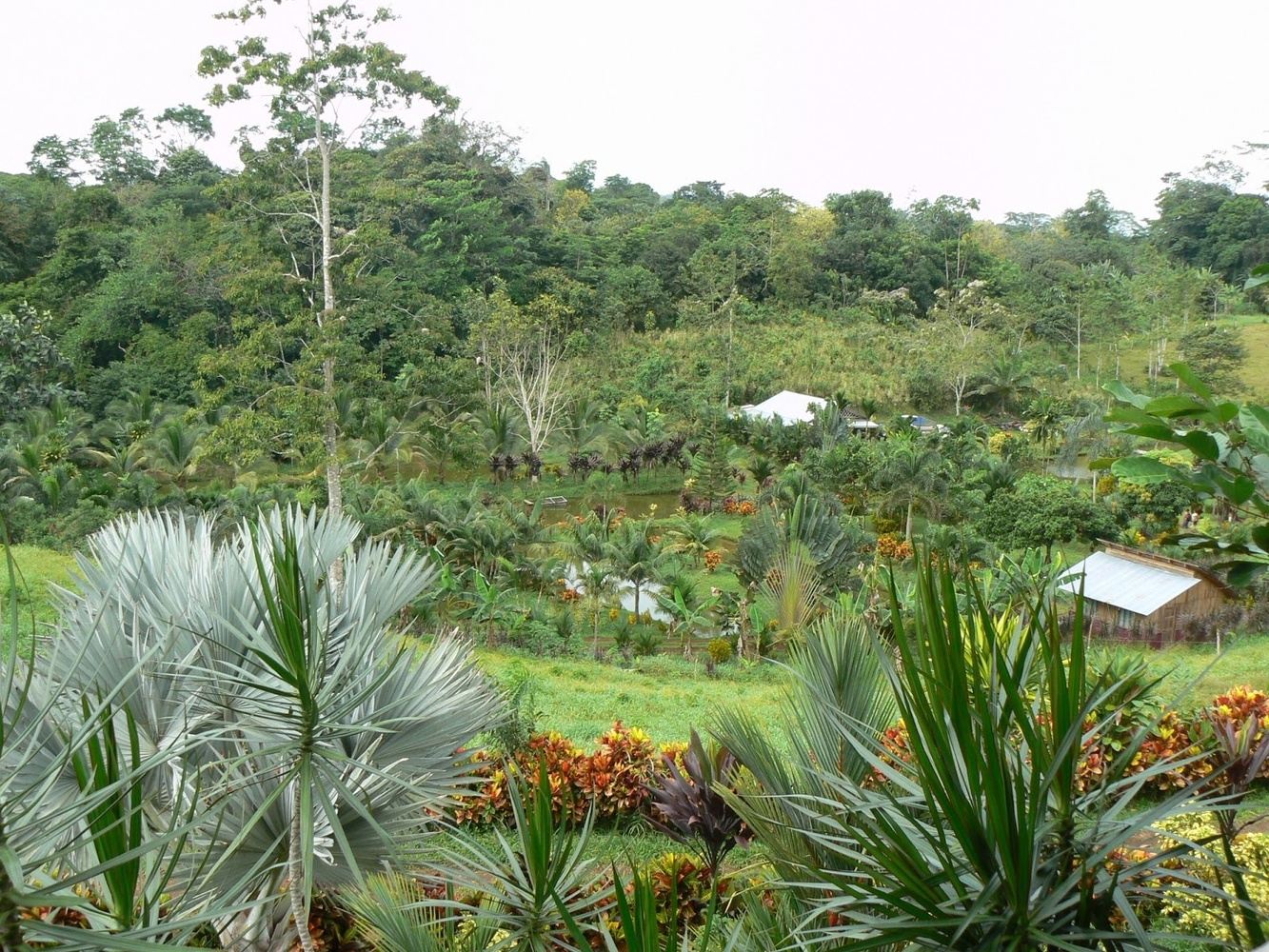 Foodie Tours - Culinary Rural Experience - 1 Day Tour from SJO