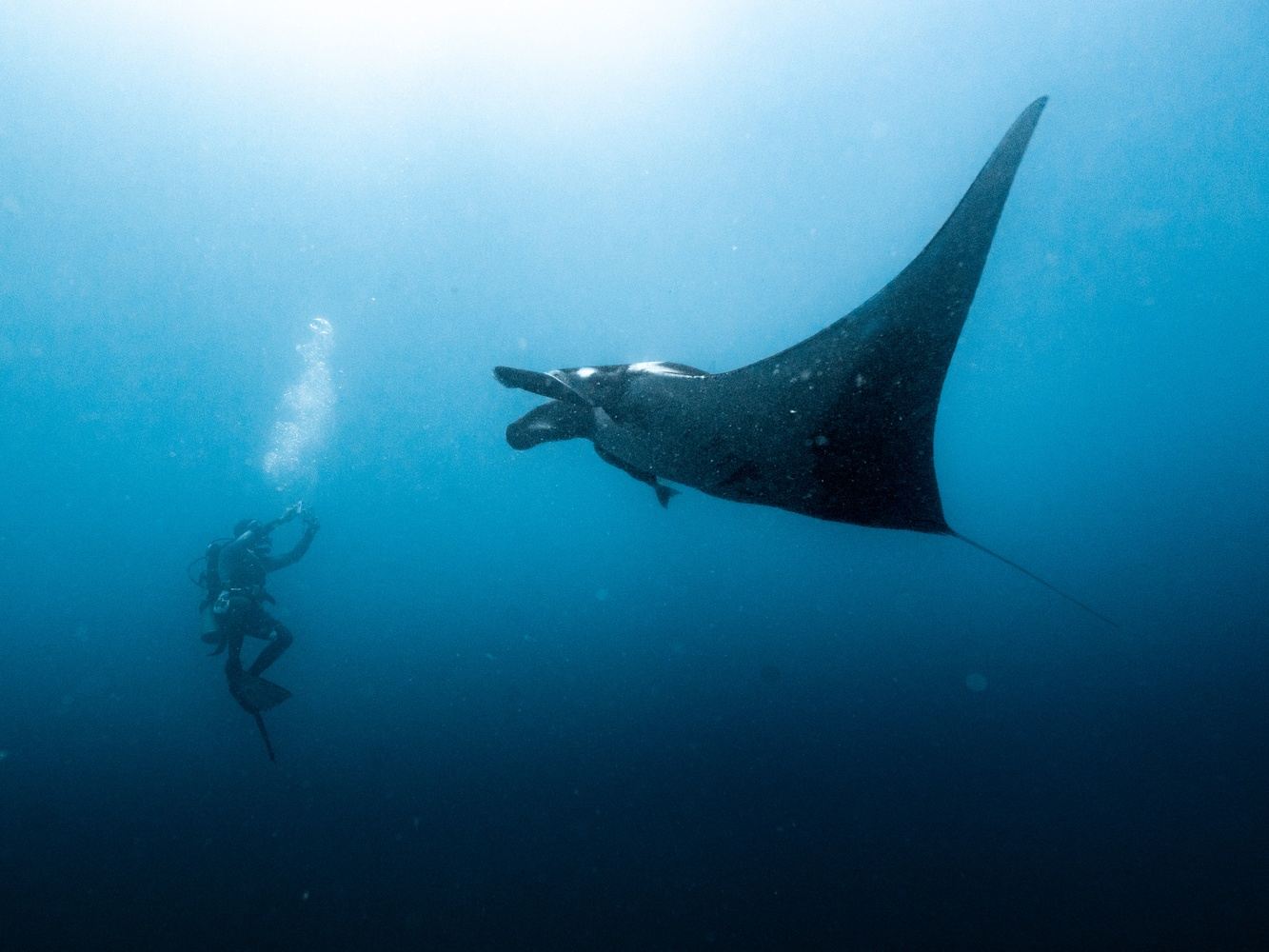 Advanced Open Water Diver