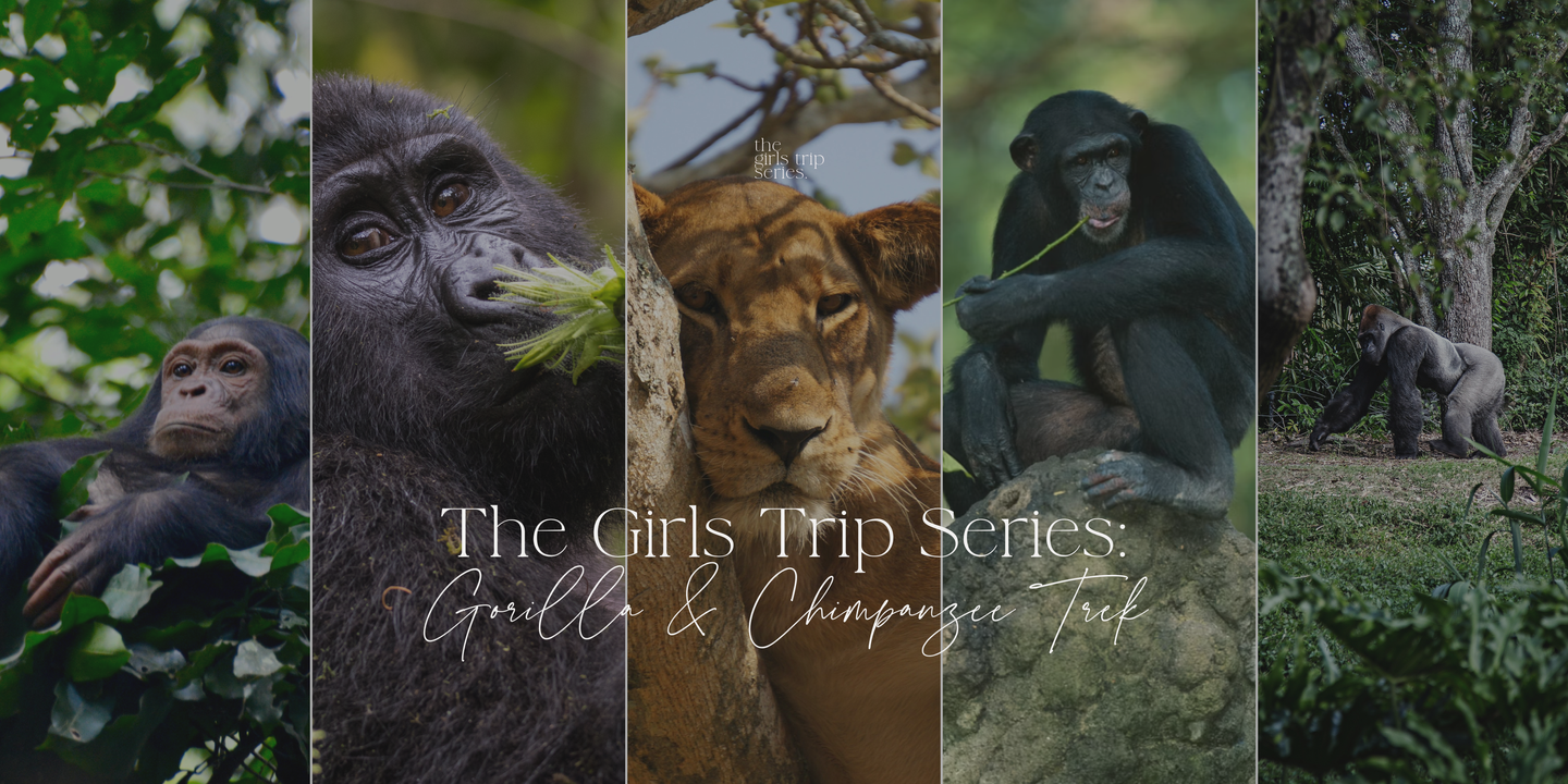 The Girls Trip Series: Gorilla & Chimpanzee Adventure