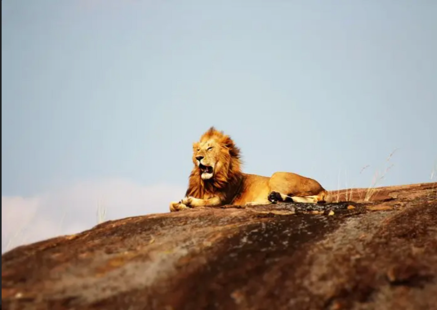 5 Day Tanzania Budget Safari