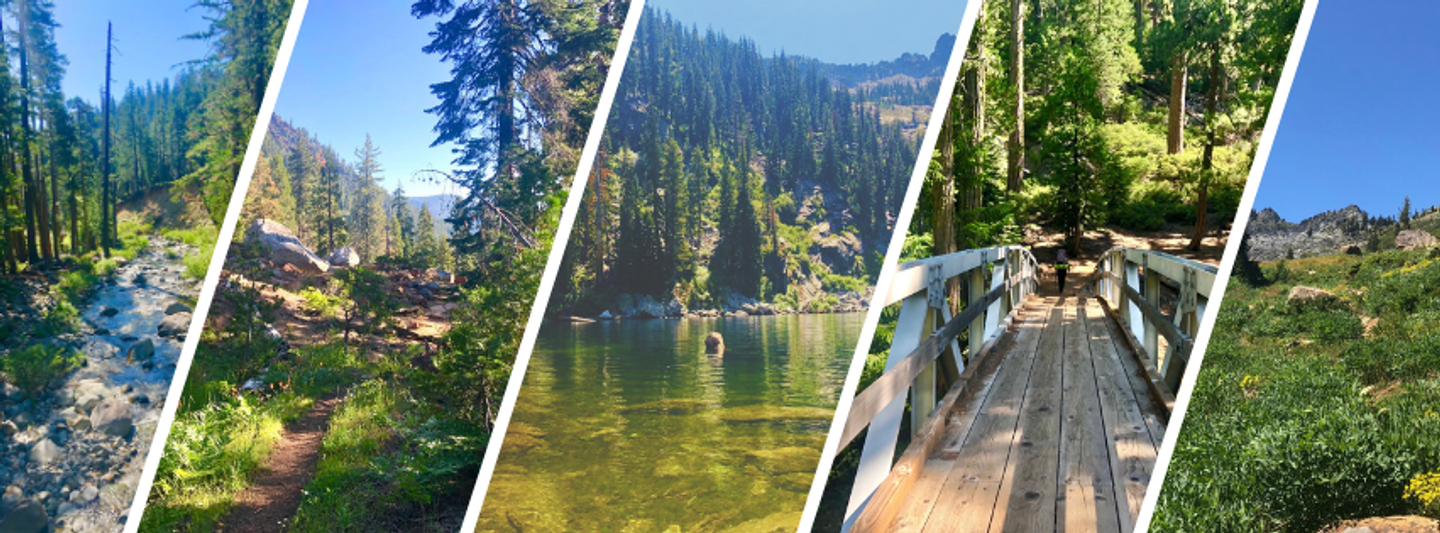 Trinity Alps Women's Backpacking Trip