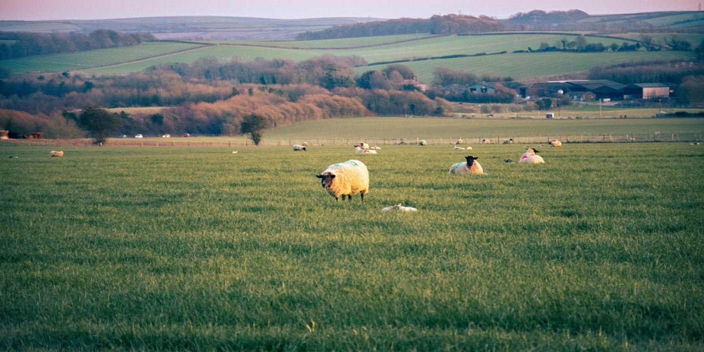 DORSET, UK YOGA RETREAT