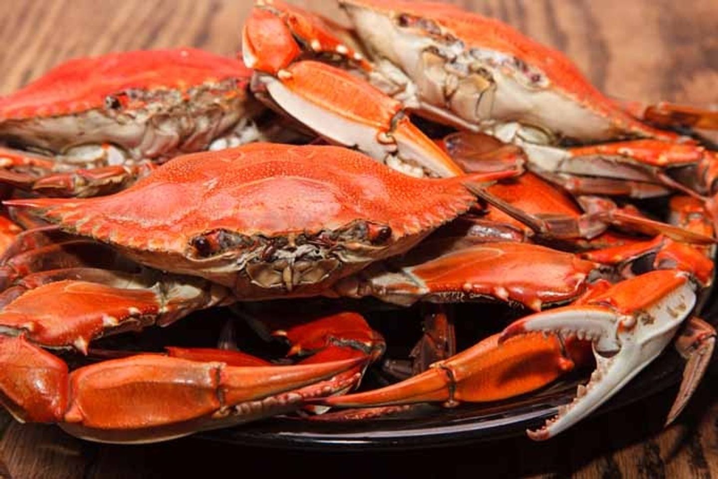 Crabdaddy OBX Experience