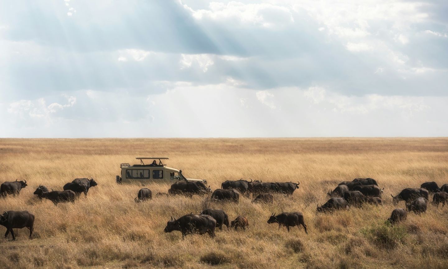 9 Days Tanzania Safari & Coast Experience