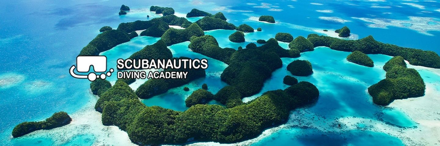 Scubanautics Dive Trip August 2026 Palau