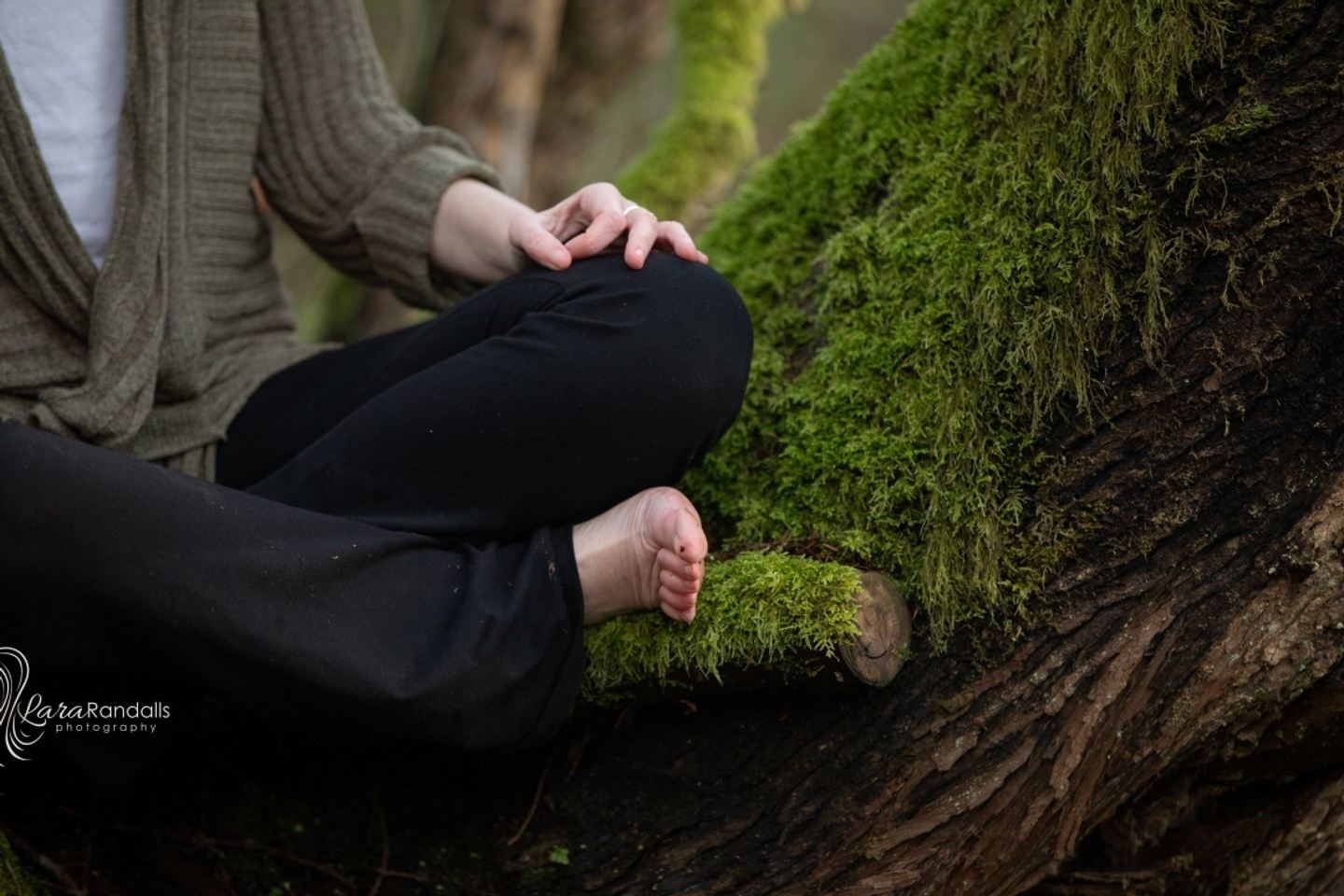 3-Day Fall Silent Meditation Retreat