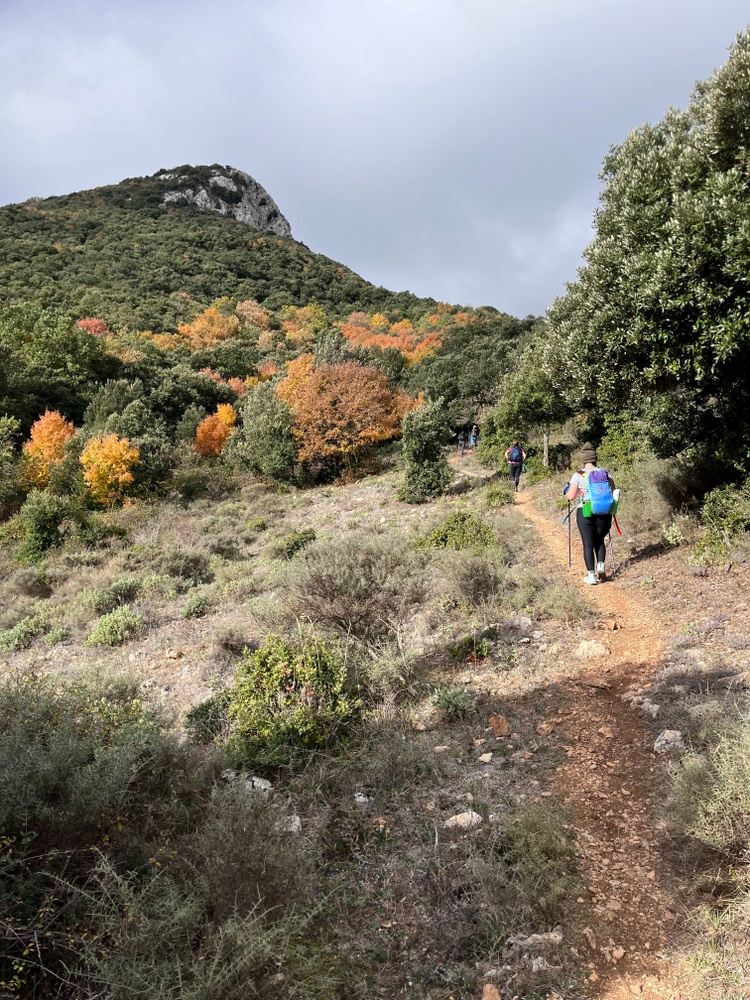 Ridges and Valleys: A Regional Experience