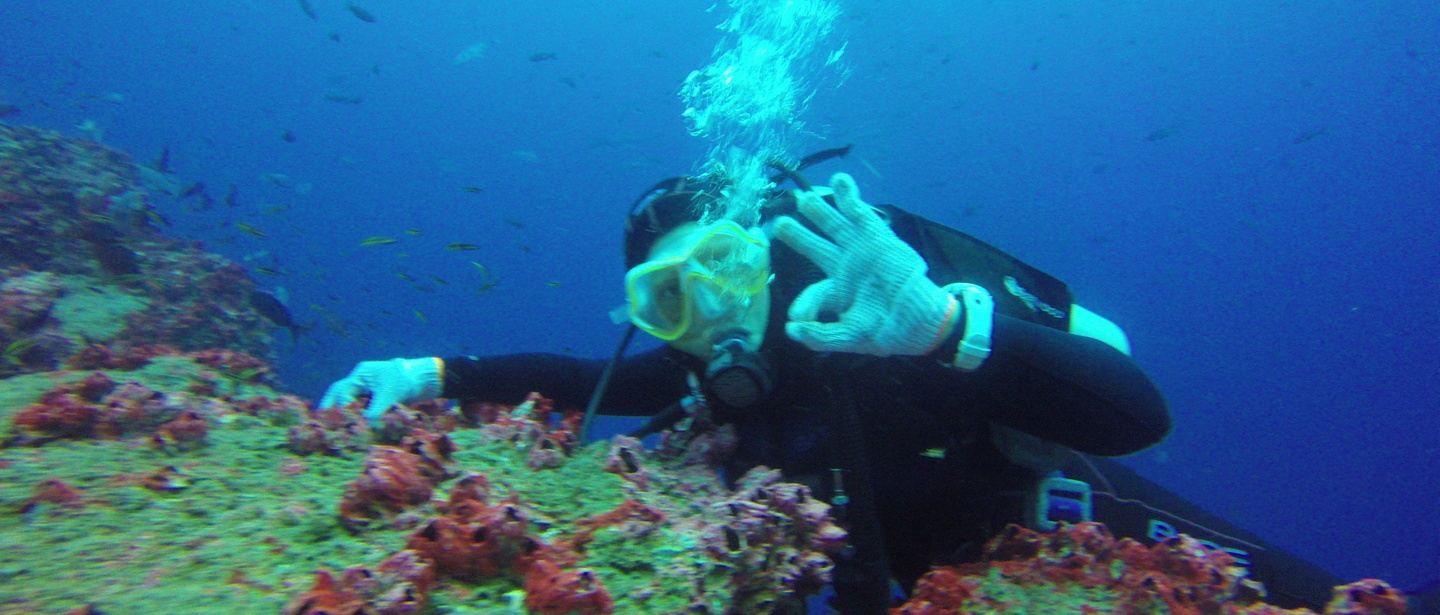 Galapagos Hotel & Diving Package