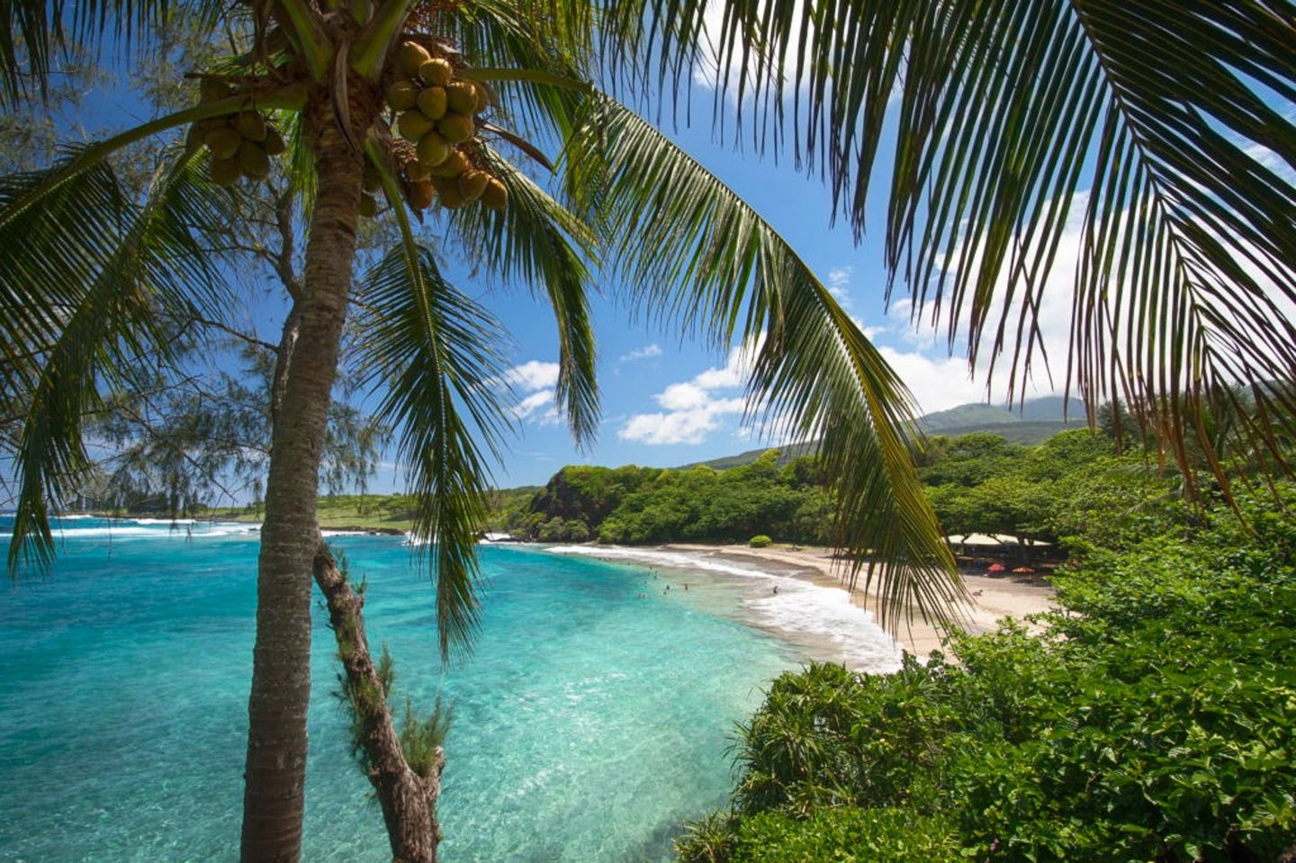 COSTA RICA 2027 WOMEN'S TRIP