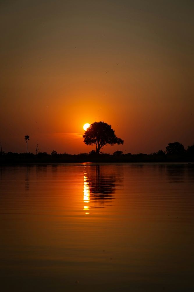 An Bekun - West African Yoga, Music, and Wellness Retreat in Senegal