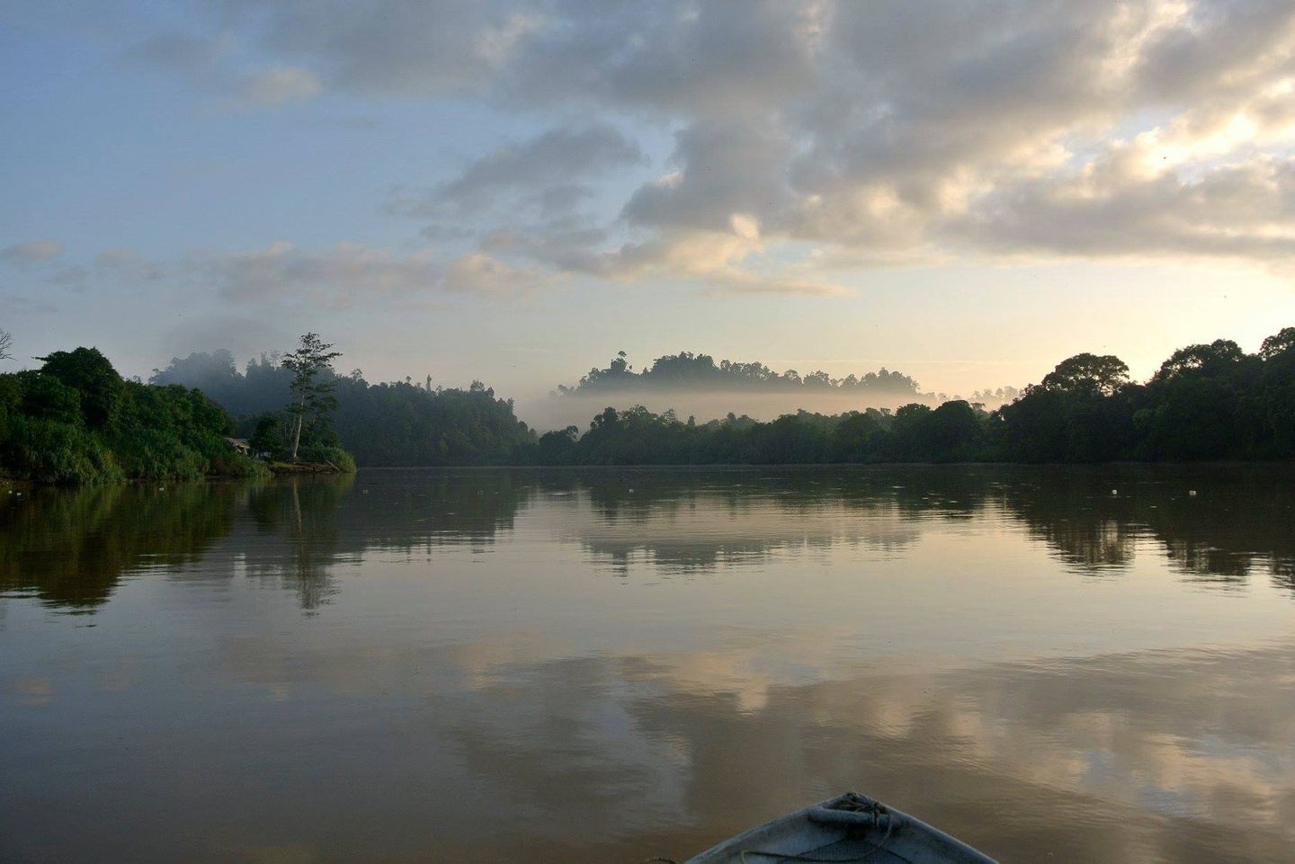 Borneo Wild Habitat