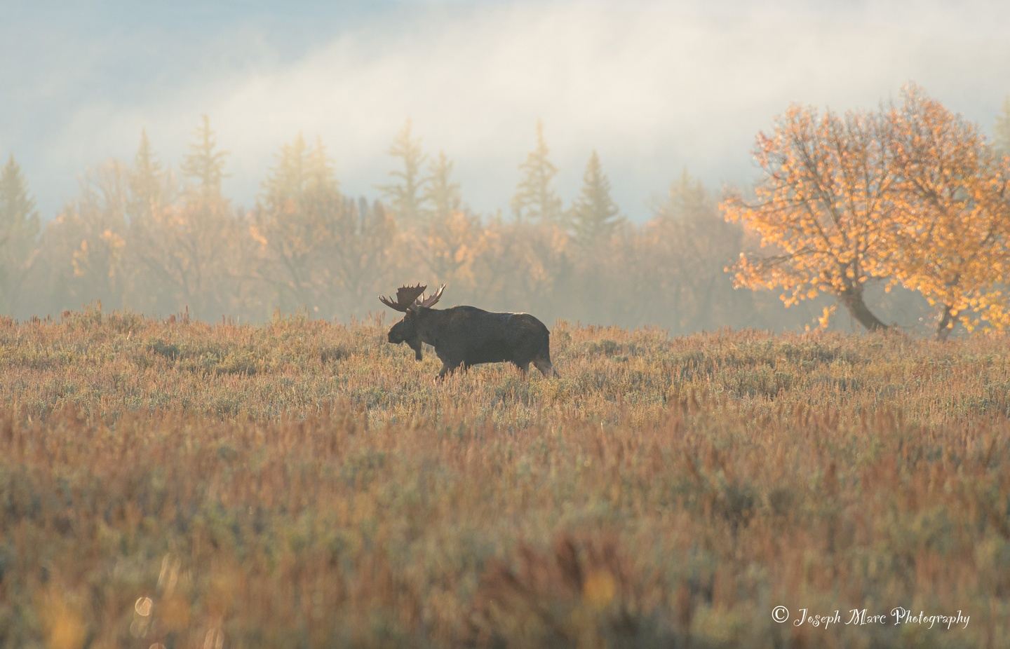 2027 Grand Teton National Park Fall Photography Workshop