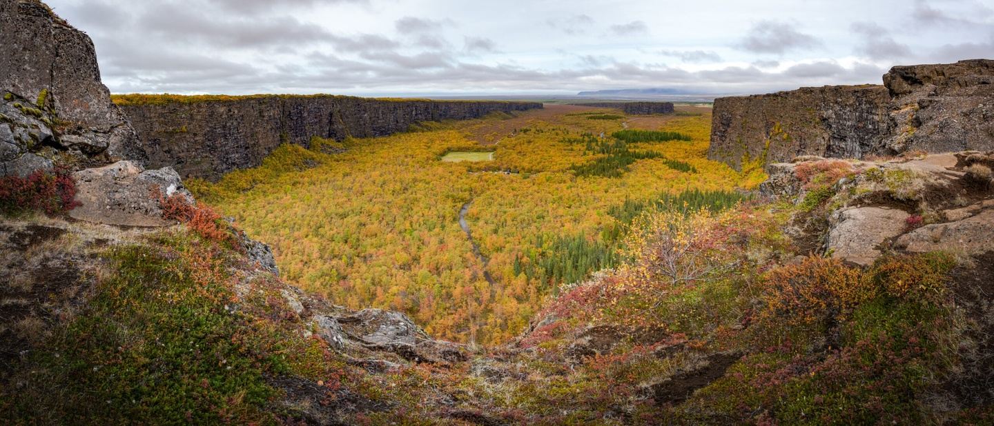 Drove & Discover: Arctic Aerials 2026