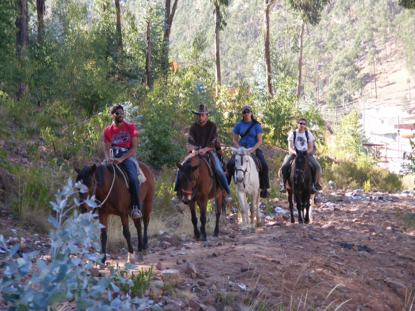 Tour a Caballo