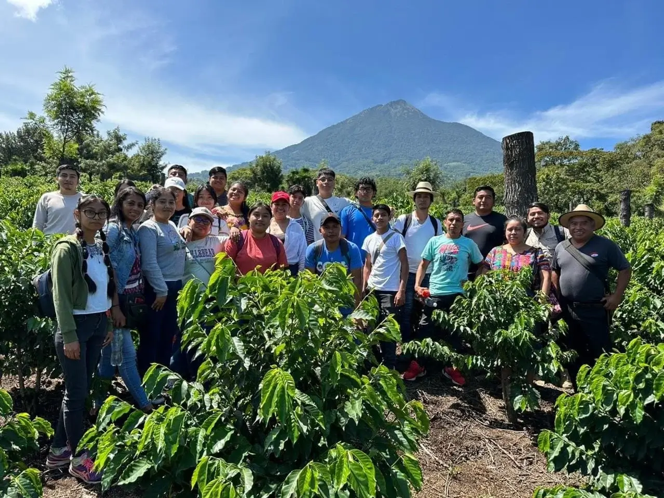 Tour del café en Antigua Guatemala - photo 3